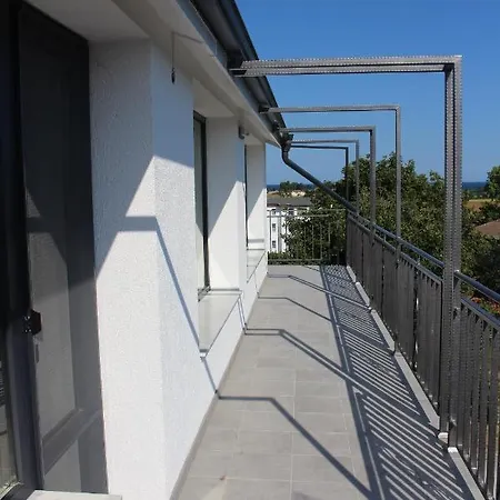 Weisser Schwan белият лебед