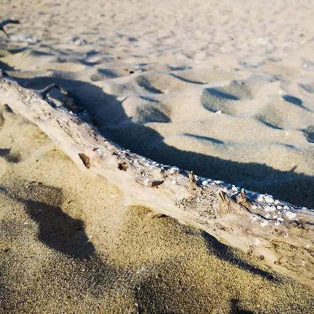 Weisser Schwan белият лебед