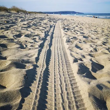 Weisser Schwan белият лебед Hotell Shkorpilovtsi