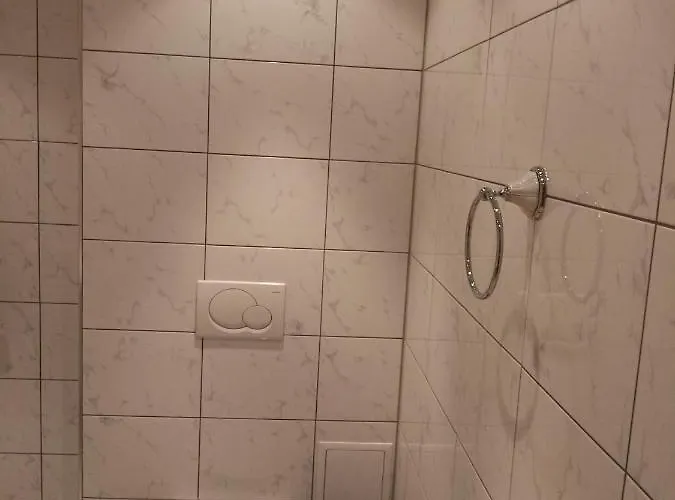 Weißer Schwan белият лебед Шкорпиловци