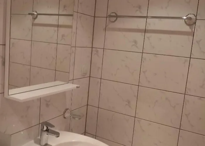 Weißer Schwan белият лебед * Шкорпиловци