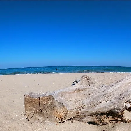 Weisser Schwan белият лебед Hotel Școrpilovți