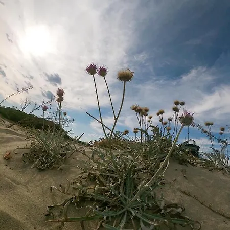Weisser Schwan белият лебед Hotel Shkorpilovtsi