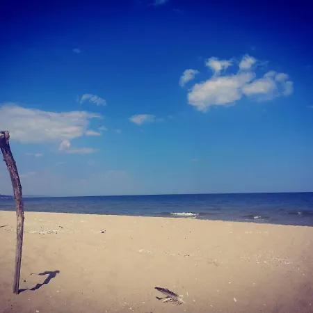 Hotel Weisser Schwan белият лебед