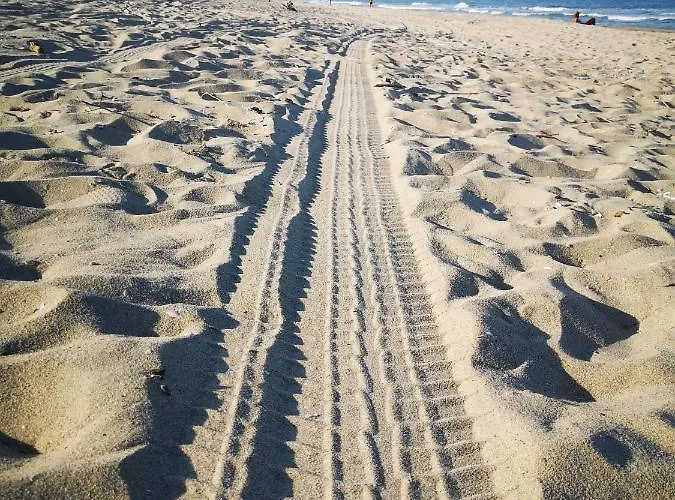 Weisser Schwan белият лебед Hotel Școrpilovți