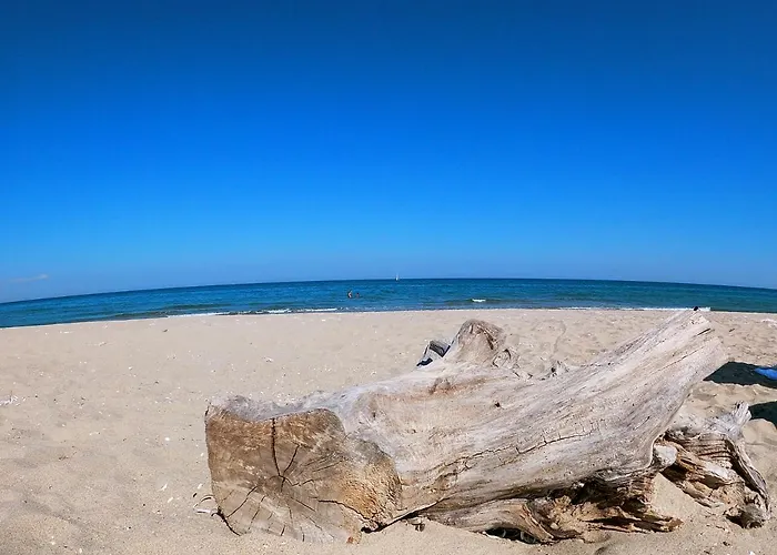 Weisser Schwan белият лебед Hotel Școrpilovți