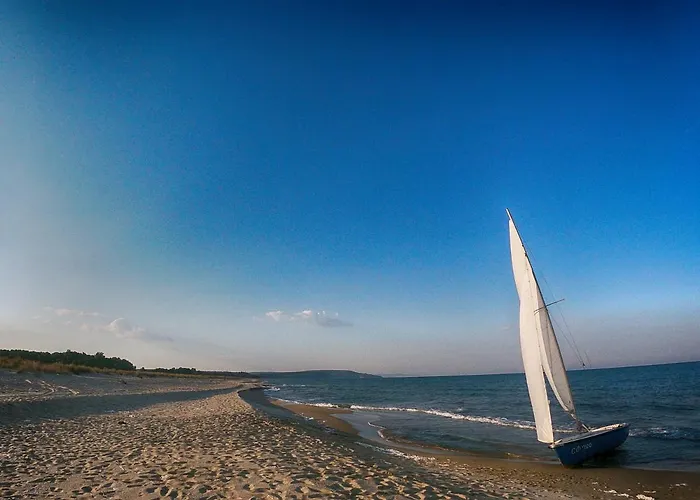 Weisser Schwan белият лебед *