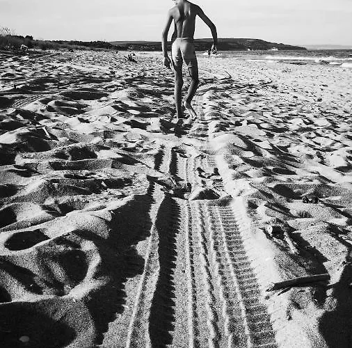 Hotel Weisser Schwan белият лебед Școrpilovți