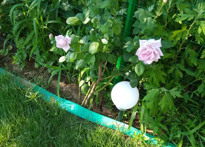 Weisser Schwan белият лебед Hotel *