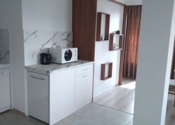 Weißer Schwan белият лебед Шкорпиловци